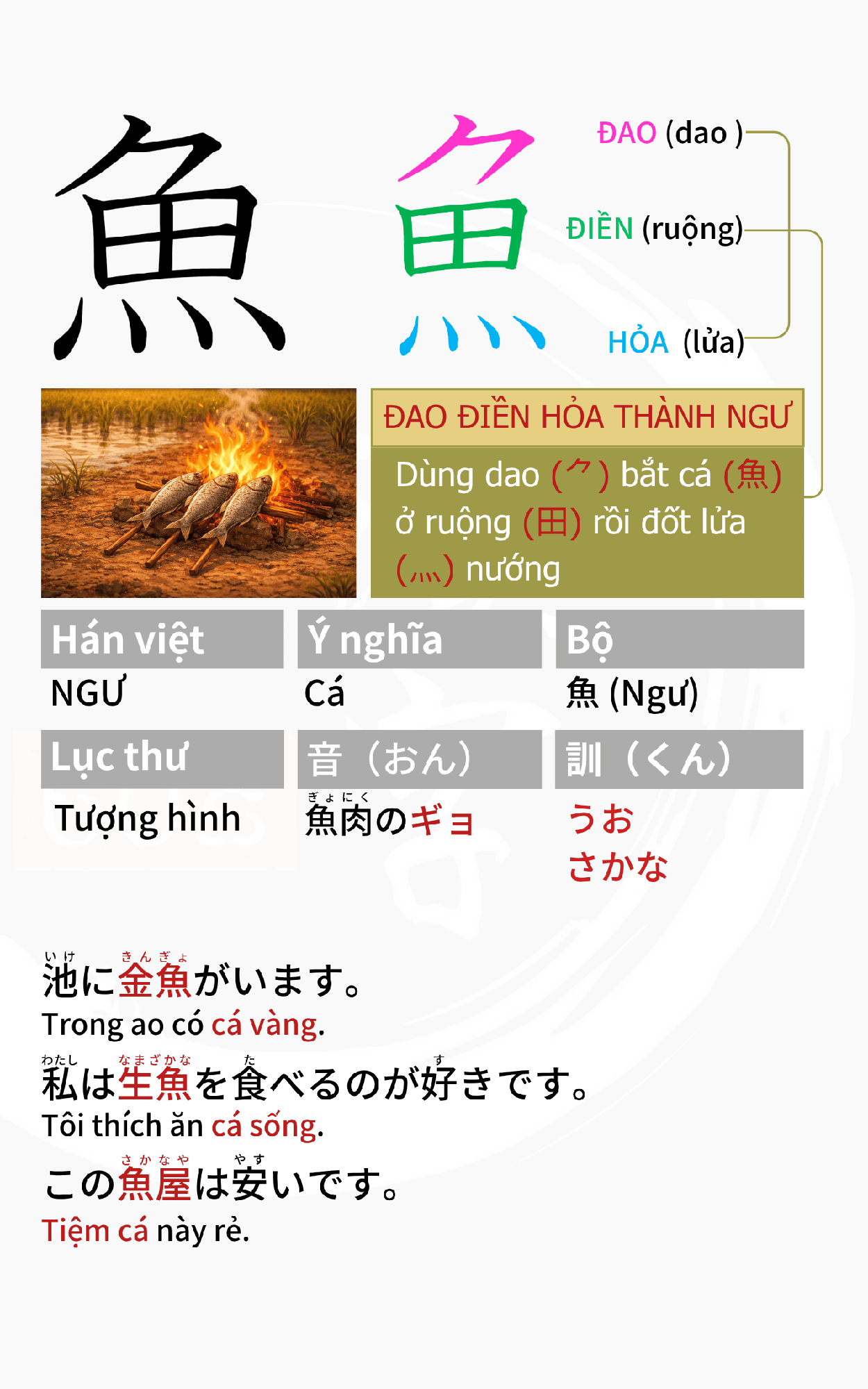 Ảnh minh họa chi tiết